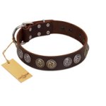"Treasure Hunter" FDT Artisan Brown Leather Bullmastiff Collar with Old-Bronze-like and Silvery Medallions