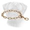 Choke Chain Bullmastiff Collar for Training