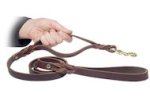 Fashion dog training lead 5 FT for Bullmastiff training