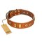 "Egyptian Script" FDT Artisan Tan Leather Bullmastiff Collar with Plates and Small Studs