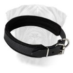 Leather Thick Soft Padded Dog Collar for Everyday Walking for Bullmastiff
