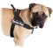 Nylon Bullmastiff Harness for Pulling, Tracking, Training and SAR