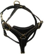 BULLMASTIFF Dog Walking Harness H3