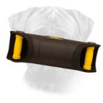 Puppy and Young Bullmastiff Bite X-Builder