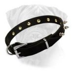 Bullmastiff Newly Designed Handcrafted Spiked Leather Collar