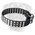 Outstanding Leather Collar with Nickel Pyramids for Bullmastiff