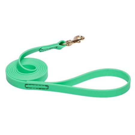 Green Waterproof Bullmastiff Leash Made of Biothane