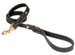 Looking for PETCO Twisted Leather Lead for Bullmastiff?