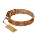 "Magic Amulet" FDT Artisan Tan Leather Bullmastiff Collar with Oval Studs