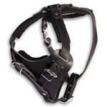 Leather Agitation Harness for Bullmastiffs