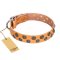 "Precious Sparkle" FDT Artisan Handcrafted Tan Leather Collar for Bullmastiff Mod