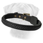 Fabulous Braided Leather Bullmastiff Collar for Walking and Training