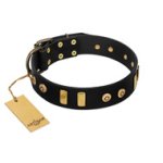 "Rare Dog" FDT Artisan Black Leather Bullmastiff Collar with Old Bronze-like Dotted Studs and Tiles