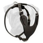 Heavy Duty Dog Harness for Bullmastiff for Various Activities