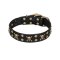 'Jolly Rojer' FDT Artisan Bullmastiff Leather Dog Collar with Pirate Skulls and Studs