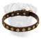 Bullmastiff Gorgeous Wide Leather Dog Collar With Dotted Circles