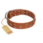 "Dreamy Gleam" FDT Artisan Tan Leather Bullmastiff Collar Adorned with Stars and Squares