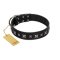 "Polar Lights" Designer FDT Artisan Black Leather Bullmastiff Collar with Silver-Like Studs