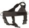 Nylon Companion Safety Harness for Bullmastiff