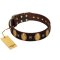 "Crystal Mirror" FDT Artisan Handmade Brown Leather Bullmastiff Collar - 1 1/2 inch (40 mm) Wide