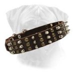 Bullmastiff Studded and Spiked Leather Dog Collar