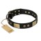 "Spanish night" FDT Artisan Fashionable Leather Walking Bullmastiff Collar
