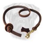 Stylish Pocket Leather Bullmastiff Training Leash