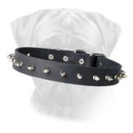 Dog Collar with Shining Nickel Spikes for Bullmastiff