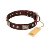 "Pirate Skull" FDT Artisan Brown Leather Bullmastiff Collar with Old Silver Look Plates and Skulls