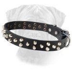 Bullmastiff Leather Collar with Rustproof Studs