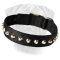 1 Row Studs Dog Collar-1 1/4" for Bullmastiff