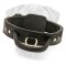 Leather Agitation Collar for Easy Control for Bullmastiff