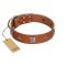 "Lucky Star" FDT Artisan Tan Leather Bullmastiff Collar with Silver-Like Embellishments
