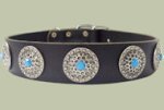 Leather Designer dog collar for BULLMASTIFF