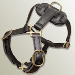Genuine Leather Dog Harness for Bullmastiff
