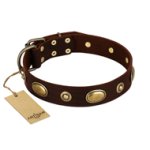 "Hebe's Jewel" FDT Artisan Brown Genuine Leather Bullmastiff Collar