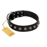 "Inky Prettification" FDT Artisan Black Leather Bullmastiff Collar with One Row of Studs