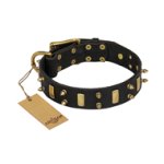 "Medieval Style" FDT Artisan Leather Bullmstiff Collar with Brass Plates and Spikes
