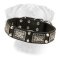 Leather Bullmastiff Collar with Old Nickel Plates and Pyramids