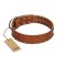 "Star Light" Stylish FDT Artisan Tan Leather Bullmastiff Collar with Silver-Like Studs