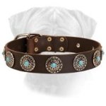 Western Leather Dog Collar with Turquoise Stones for Bullmastiff
