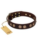 "Woofy Art" FDT Artisan Brown Leather Bullmastiff Collar Adorned with Old Bronze-like Studs