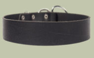 2 inch wide All Weather Collar for Bullmastiff-Leather Collar