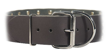 2 inch wide All Weather Collar for Bullmastiff-Leather Collar