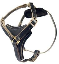 2-ply Latigo Leather Harness for Bullmastiff