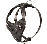 Black Leather Dog Harness for BULLMASTIFF