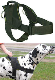 Best Dog Training Harness for BULLMASTIFF Best Dog Training Harness for BULLMASTIFF