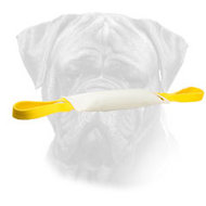 Fire Hose Bite Tug With Handles for Bullmastiff Fire Hose Bite Tug With Handles for Bullmastiff