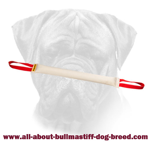 Bullmastiff Bite Tug Made of Fire Hose