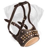 Posh Handcrafted Studded Leather Bullmastiff Muzzle